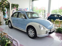 歐拉芭蕾貓外觀圖片