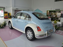 歐拉芭蕾貓外觀圖片