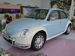 歐拉芭蕾貓外觀圖片