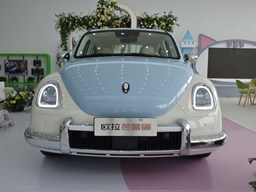 歐拉芭蕾貓外觀圖片