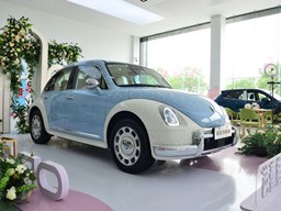 歐拉芭蕾貓外觀圖片