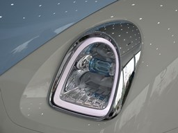 歐拉芭蕾貓細節圖片