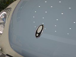 歐拉芭蕾貓細節圖片