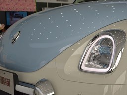 歐拉芭蕾貓細節圖片