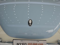 歐拉芭蕾貓細節圖片