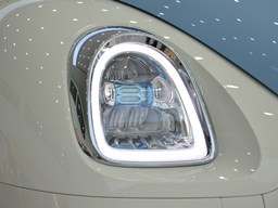 歐拉芭蕾貓細節圖片