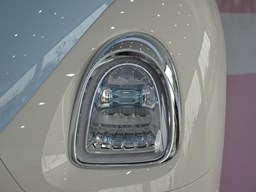 歐拉芭蕾貓細節圖片