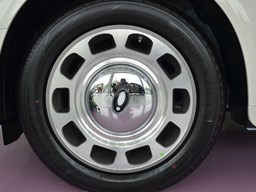 歐拉芭蕾貓細節圖片