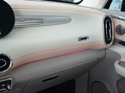 歐拉芭蕾貓內飾圖片