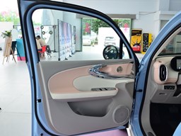 歐拉芭蕾貓內飾圖片