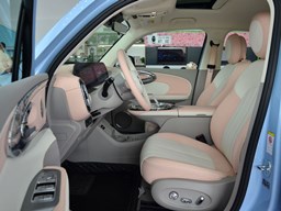 歐拉芭蕾貓內飾圖片