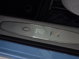 歐拉芭蕾貓內飾圖片