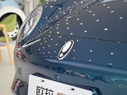 歐拉好貓細節圖片