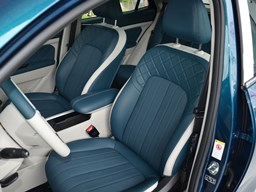 歐拉好貓內飾圖片