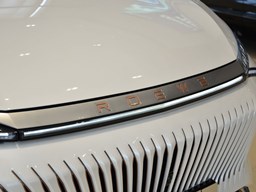 榮威鯨細節圖片