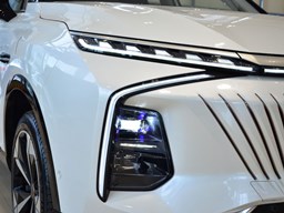 榮威鯨細節圖片