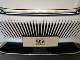 榮威鯨細節圖片