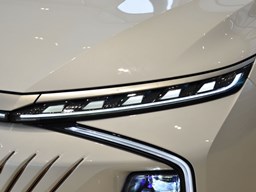 榮威鯨細節圖片