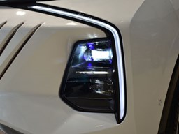 榮威鯨細節圖片