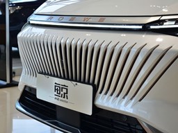 榮威鯨細節圖片