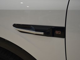 榮威鯨細節圖片