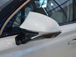 榮威鯨細節圖片