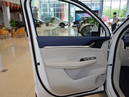 榮威鯨內飾圖片