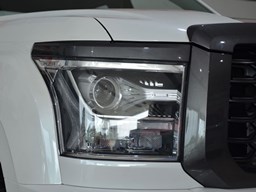 長城金剛炮細節圖片