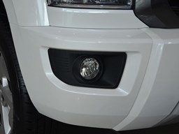 長城金剛炮細節圖片