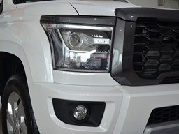 長城金剛炮細節圖片