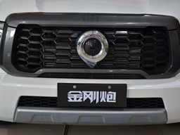 長城金剛炮細節圖片