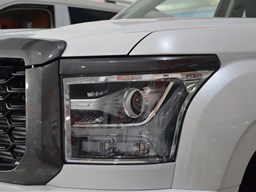 長城金剛炮細節圖片