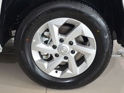 長城金剛炮細節圖片