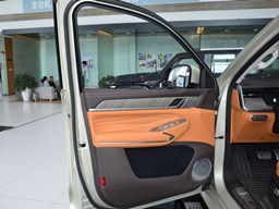 坦克500內飾圖片