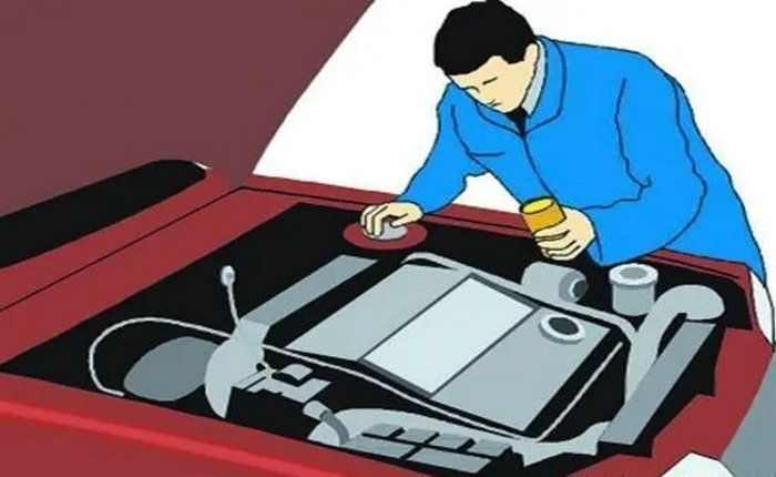 終身保養是什么意思