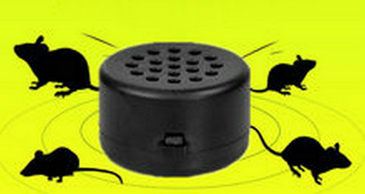 汽車發(fā)動機(jī)艙防鼠最有效辦法