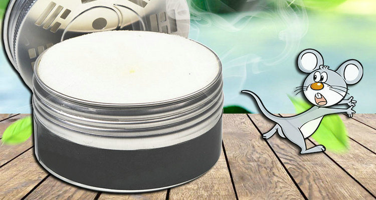 汽車發(fā)動機(jī)防鼠絕招