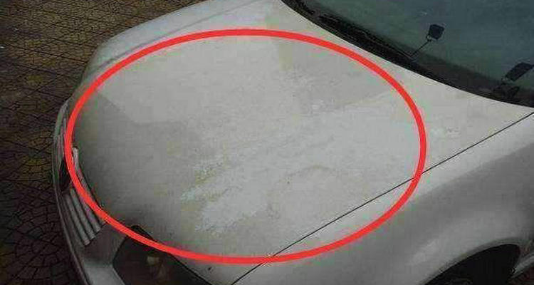 珍珠白車漆發黃怎么辦