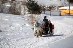 買車如何選擇前驅、后驅、四驅，想不到差別這么大！