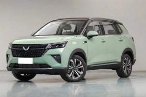 五菱星辰真實(shí)油耗多少 百公里油耗實(shí)測(cè)7.6L(油耗一公里7毛錢(qián))