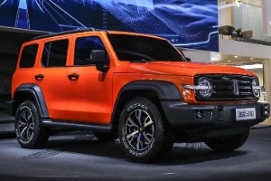 魏派300越野版多少錢 新款魏派300售價(jià)28萬(wàn)(分期首付8萬(wàn))