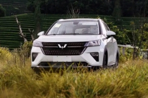 五菱星辰suv2021款多少錢 五菱星辰頂配僅售10.98萬(全款落地12.12萬)