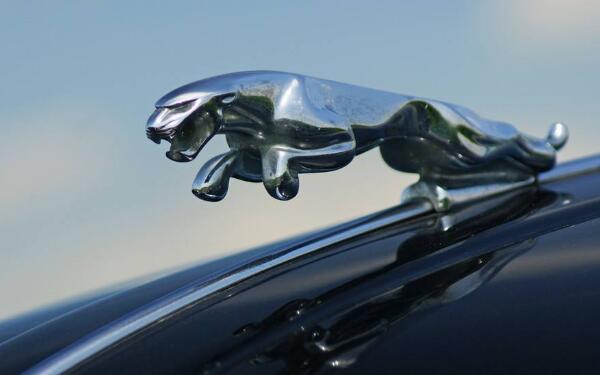 汽車標志圖片大全 十大經典車標是哪些