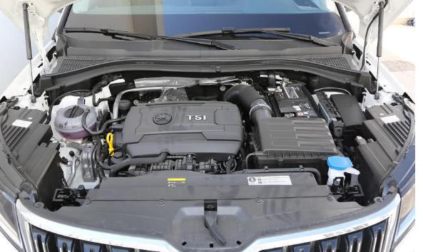 你認為探岳和柯迪亞克哪個好，誰更物美價廉（性價比高）