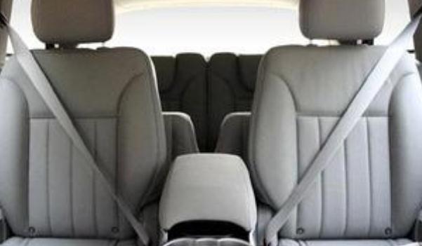 安全帶，生命帶（必須系好安全帶）