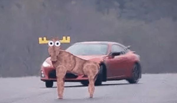 麋鹿測試,國際衡量汽車安全的重要標準(安全駕駛很重要)