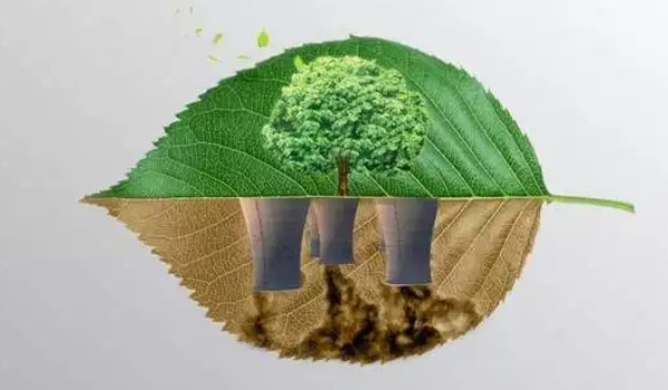 碳達峰碳中和是什么意思 低碳環保的出行方式