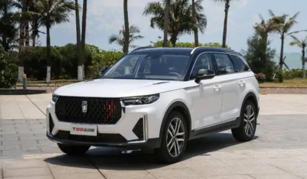 奔騰T99二手車報(bào)價(jià),市場(chǎng)最低成交價(jià)8萬起