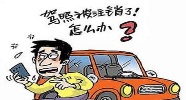 實習期上高速怎么處罰，安全無保障一切都為零