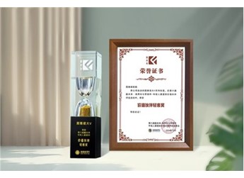 輕松高效創造價值 圖雅諾大V榮膺價值伙伴輕客獎